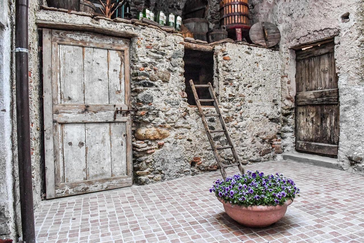 La Terra Di Mingo Bed & Breakfast Vado Ligure Luaran gambar