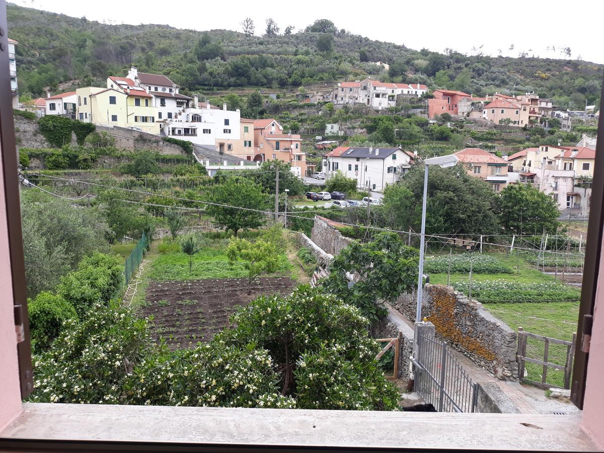 La Terra Di Mingo Bed & Breakfast Vado Ligure Luaran gambar